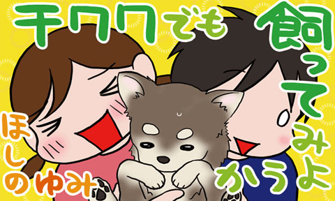 ほしのゆみ　チワワでも飼ってみようか