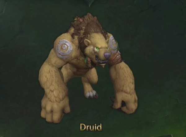 broken ranks druid